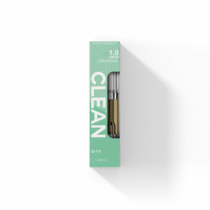 G13
